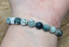 Load image into Gallery viewer, Tree Agate